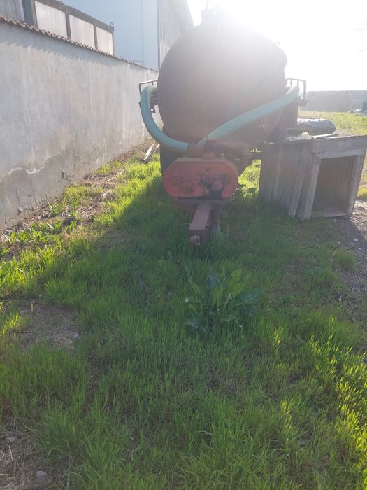 Vitanjă de vânzare