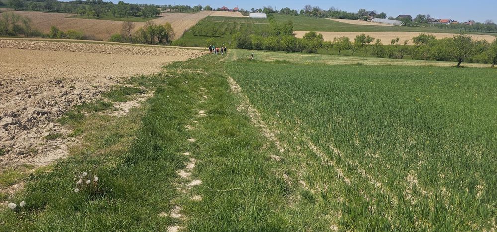 Vand teren extravilan Somcuta mare 400e/ ar