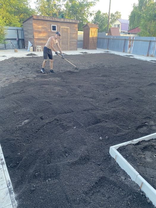 Газон сочный зеленый газон пол ключ