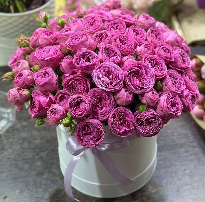 Большой выбор, широкий ассортимент