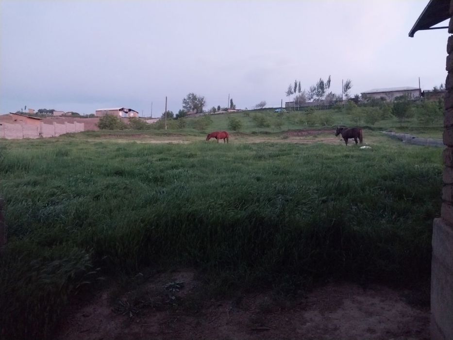 Краснагорск ер сотилади 30-сотих