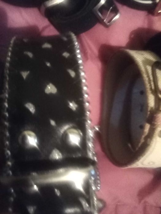 Цял лот колани има и естествена кожа