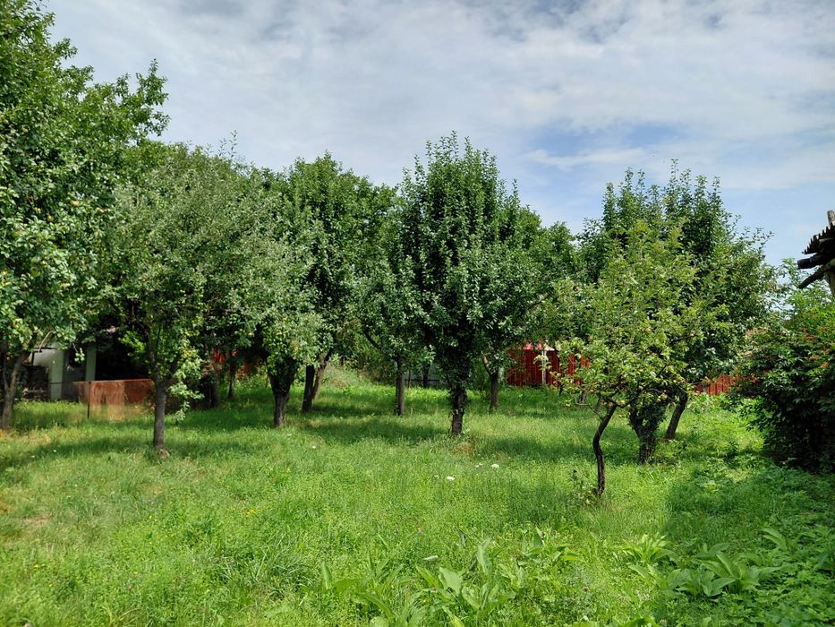 Casa de vânzare 1000mp