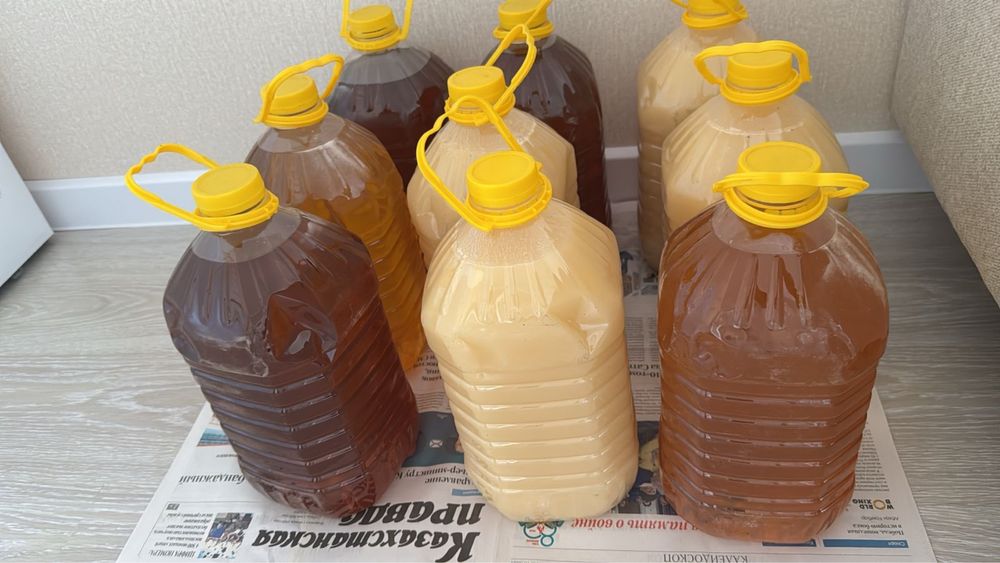 Продам свежий, майский мёд