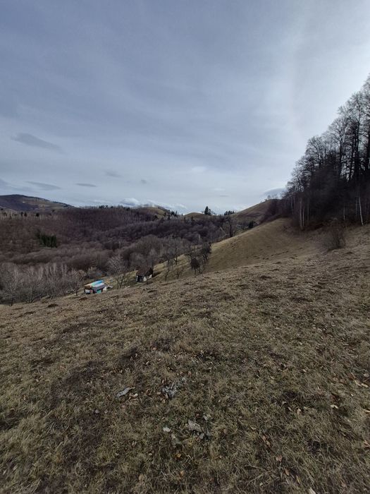 Vând teren+gospodărie