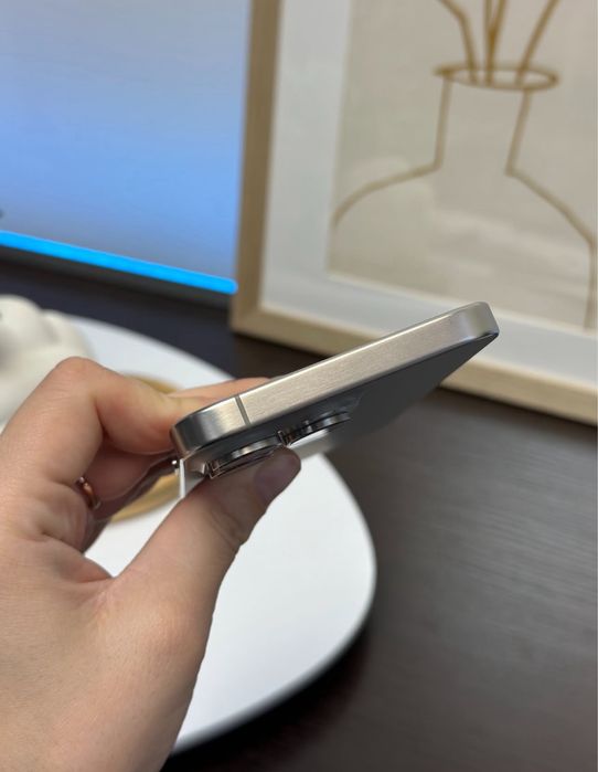 iPhone 15 PRO MAX • 256 GB • 94% Bateria