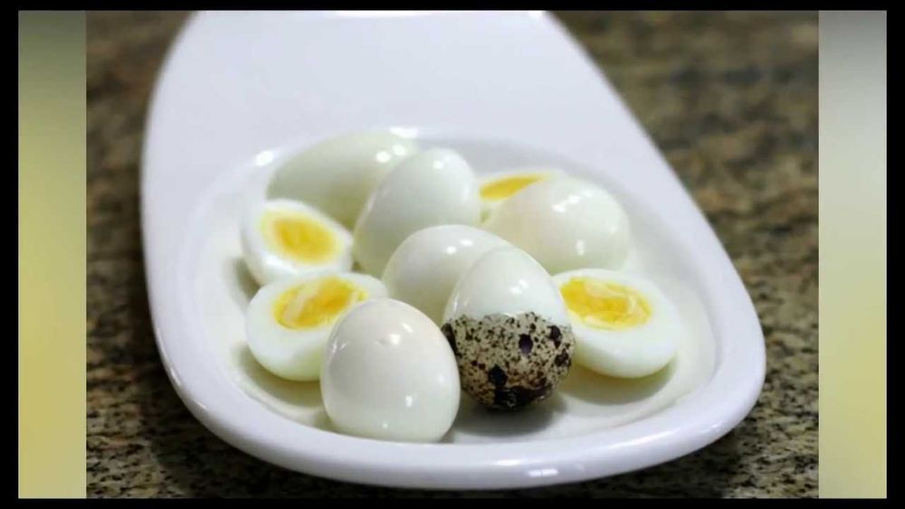 ОПТОМ СКИДКА Домашнее Перепелиное Яйцо Хонадон Бедана Тухум Доставка