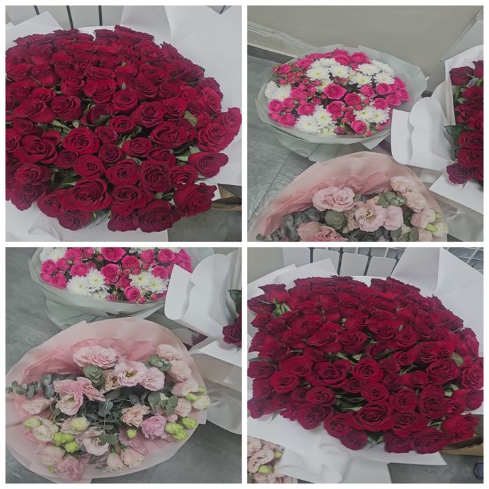 Продам б/у цветы не дорого