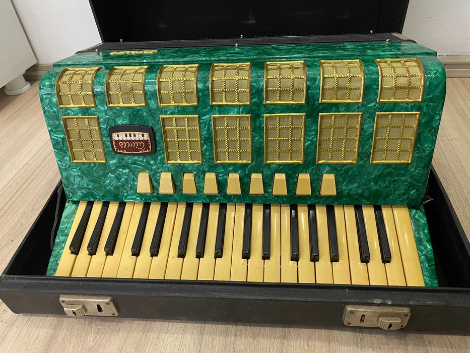 Acordeon Timis, stare buna.