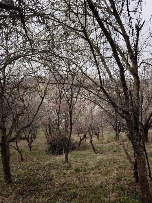 Teren de vânzare – Acte la zi, OPORTUNITATE dezvoltare TURISM