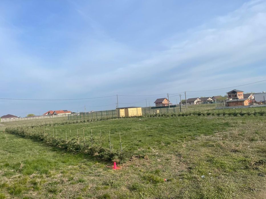 Teren intravilan Sacalaz