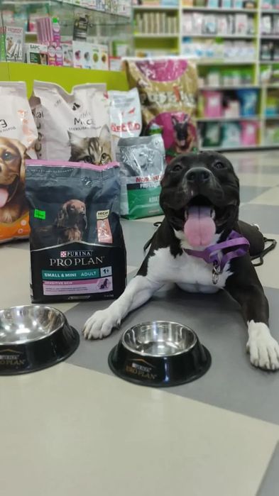 Кабель ищет девочку