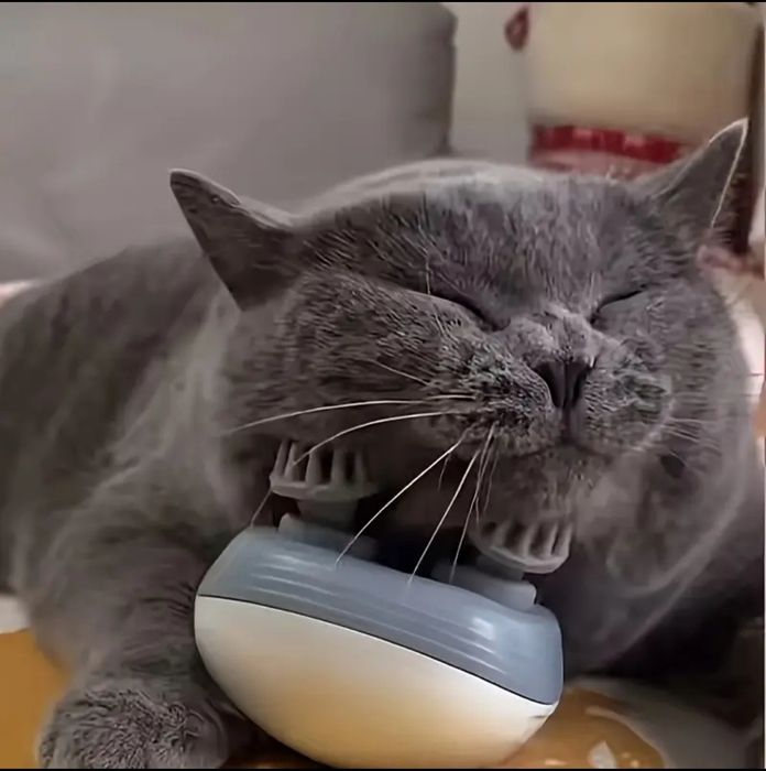 Наличен Масажор за глава