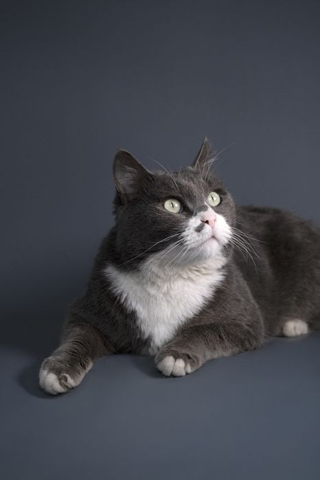 Мультик в частный дом