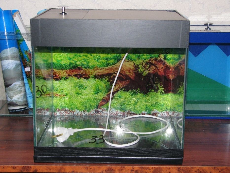 Аквариум для рыб