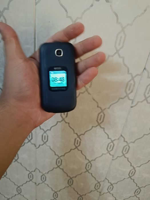 Samsung gusto 3 duos