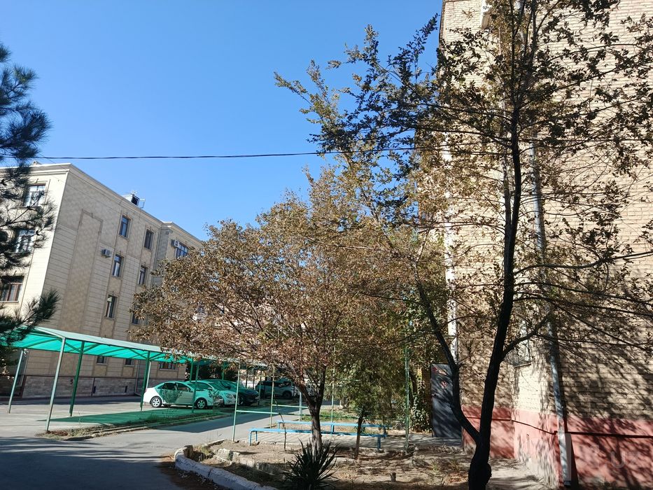 Квартира ижарага берилади 5мкрн Арбита 3хона