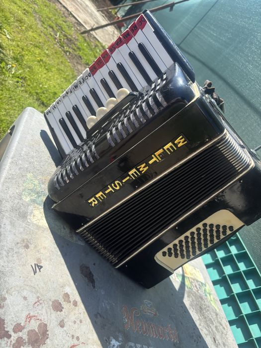 acordeon weltmeister