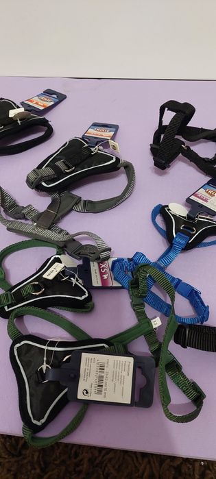 Ham zoofari pentru catei