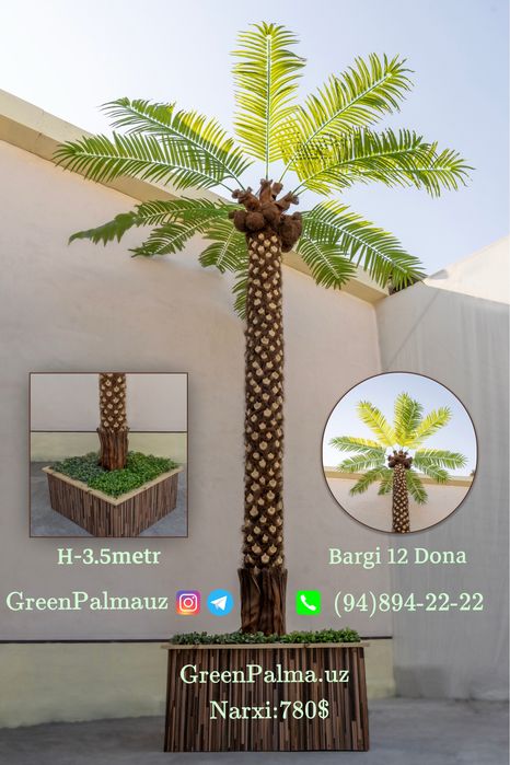 Palma Пальма  GreenPalmauz