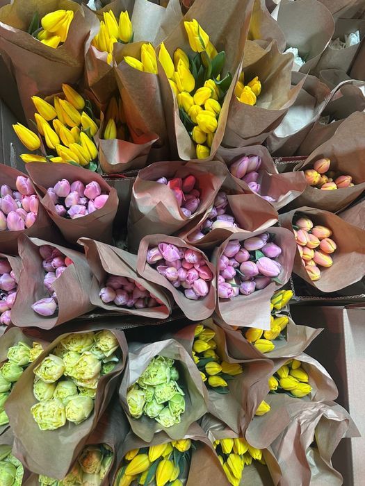 Тюльпаны по 400