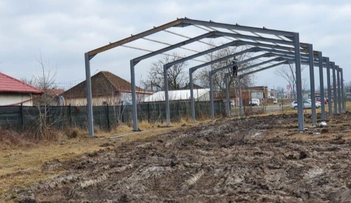 Vand
Ferme 
Pene de legătură.
20x10x4 . 15x10x4 ..
Facem si alte di