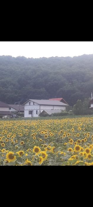 Casă de Vânzare Alba-Ampoița