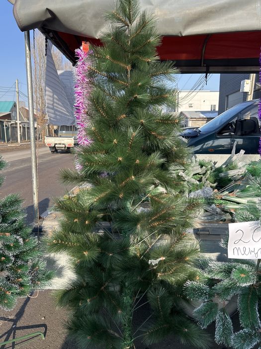 Елка по оптовой цене