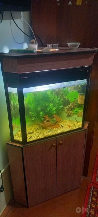 Akvarium sotiladi
