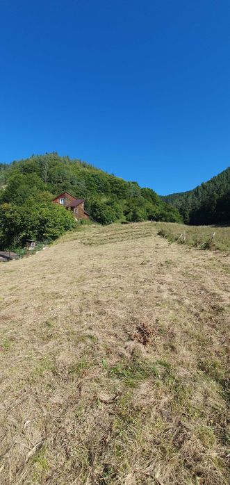 Loturi de teren la LEPSA