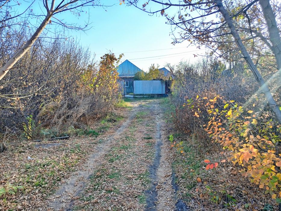 Дом в черте города