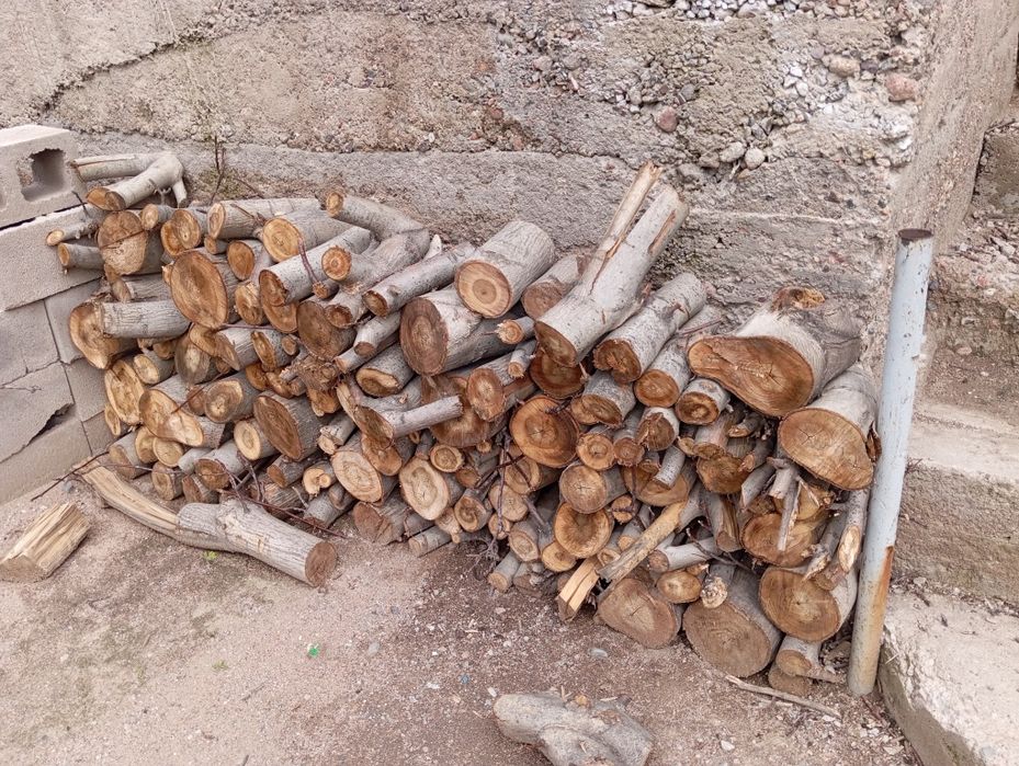 Дрова орехового дерева