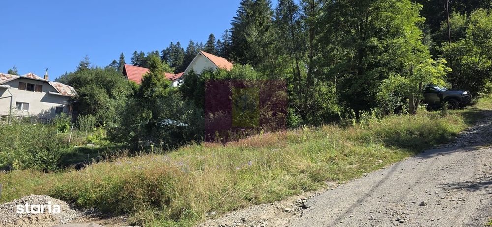 Teren intravilan 288 mp de vanzare in Busteni