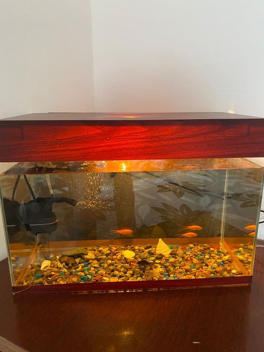 Аквариум сатылады