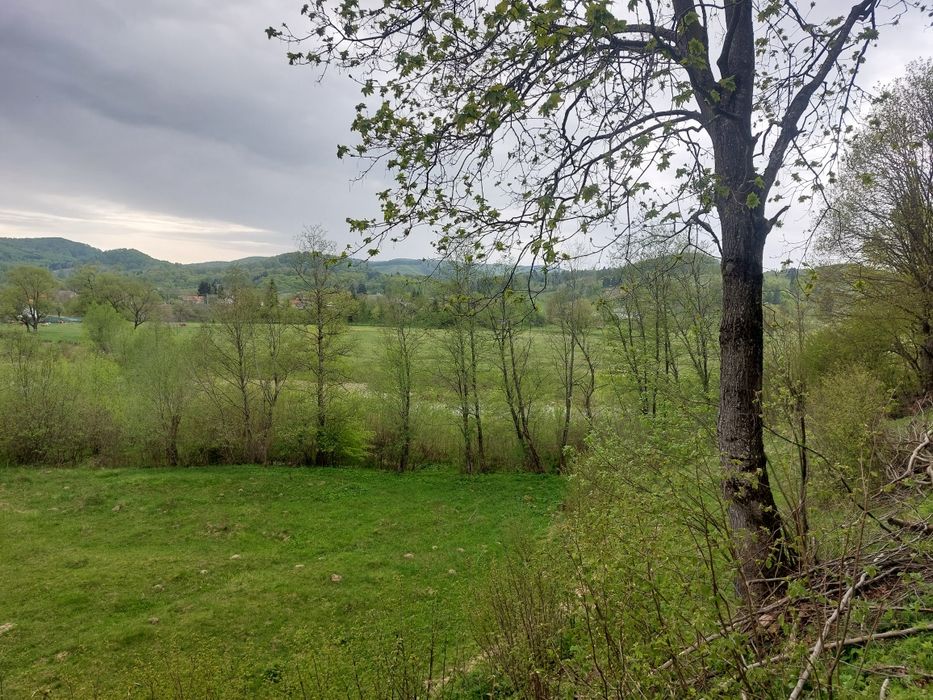 Teren intravilan agricol