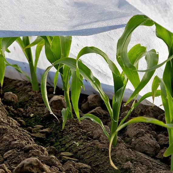 Покривало за разсад в оранжерия