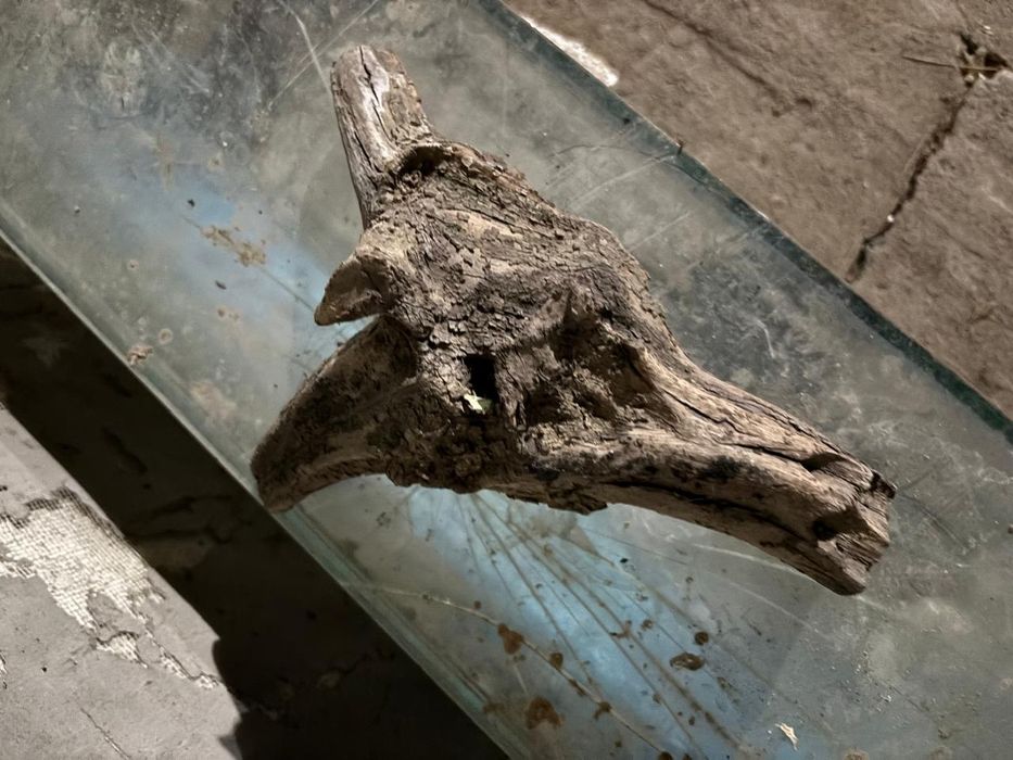 Аквариум для дома