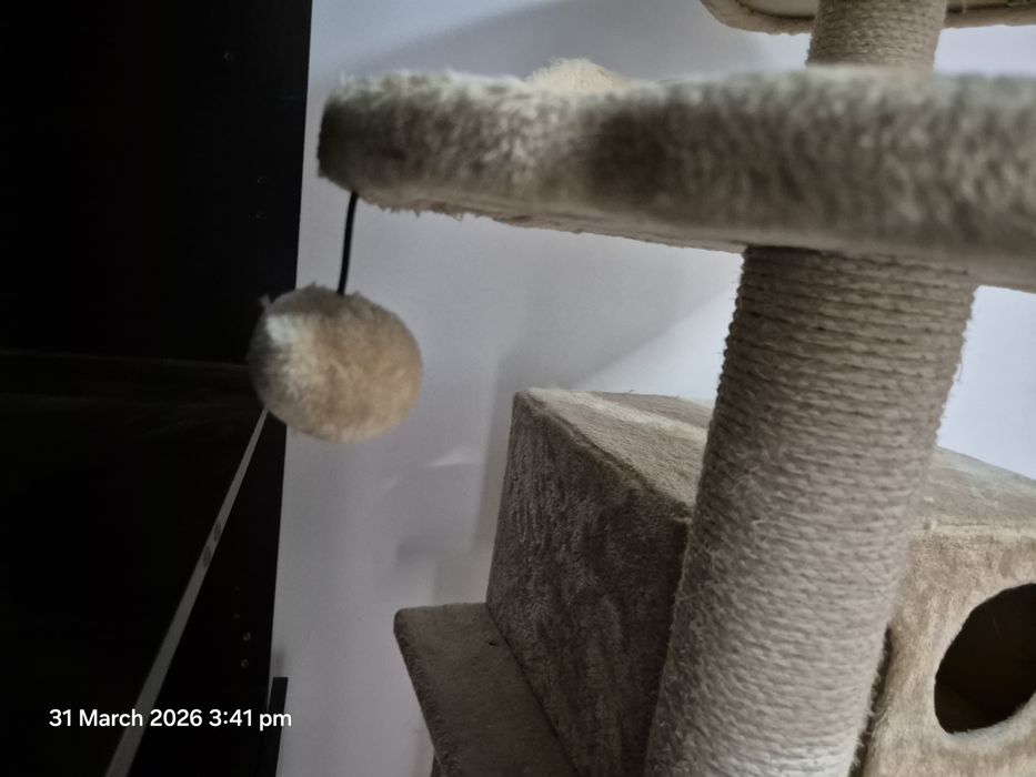 Ansamblu joacă pisici – ca nou