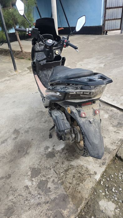 Макси 180 сс лия