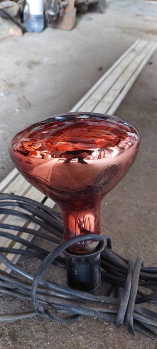 Лампа для обогрева животных.