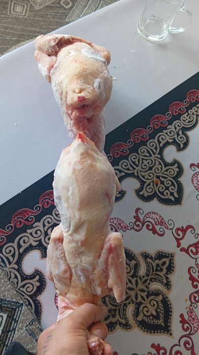 Продам мясо кур тушками