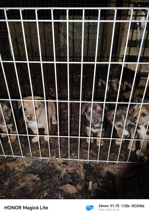 Подарявам бебета