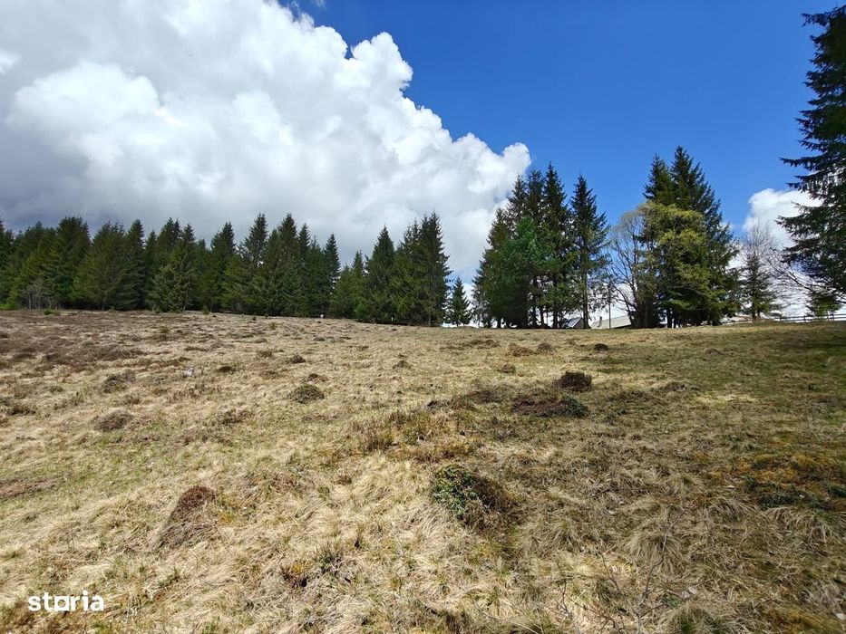 Teren intravilan, 1500 mp, Dealu Botii, com Belis, Comision 0