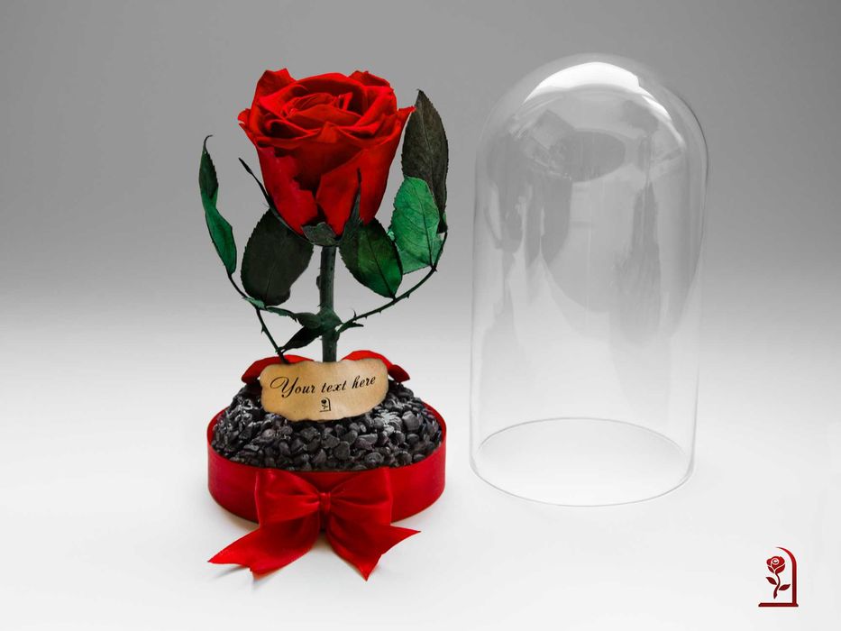 Естествена Вечна Роза в Стъкленица / Подарък за Годишнина за Съпругата