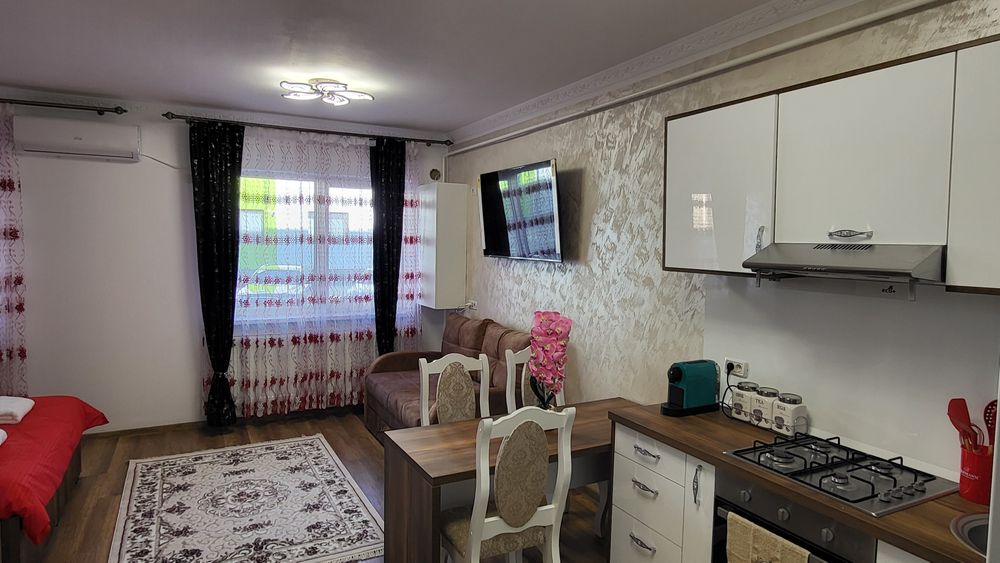 Aly Lux Studio. Apartamente în regim hotelier Suceava