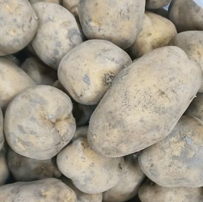 Картофель домашни