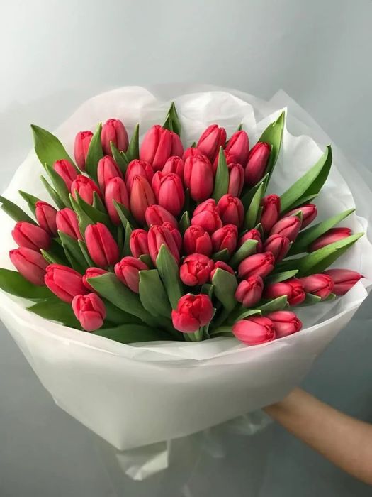 101 тюльпаны 9900тг Қызғалдақ 101 роза