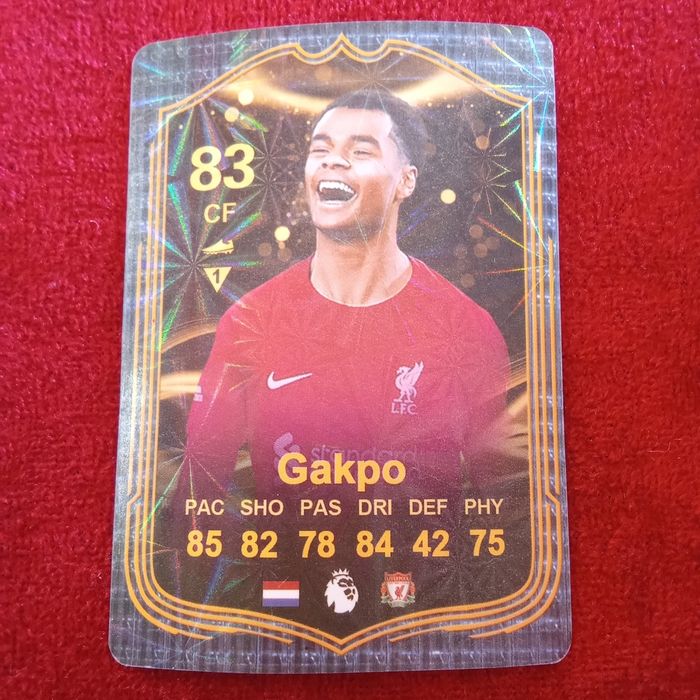 Футболни колекционерски карти Panini Adrenalyn XL 2023/24