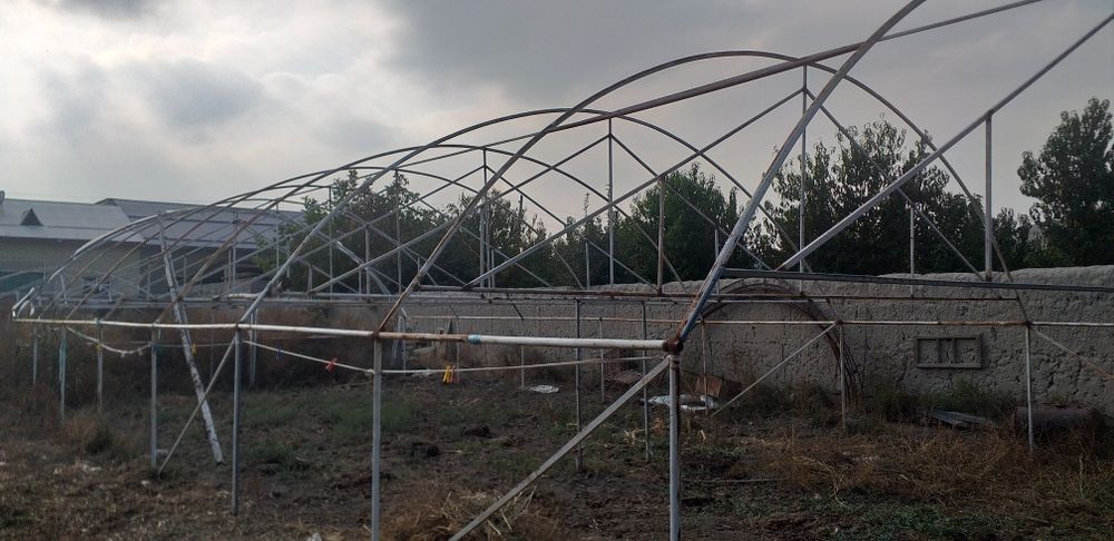 Иссикхона дугалари