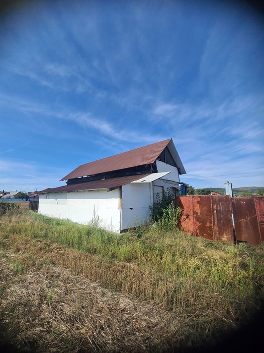 Vând teren intravilan 10000m2